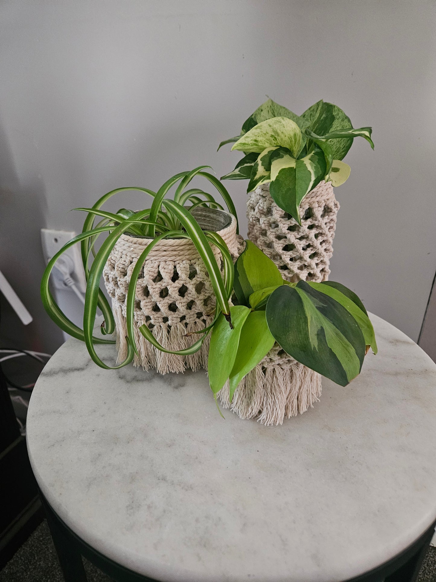 Macrame Plant Jar Set